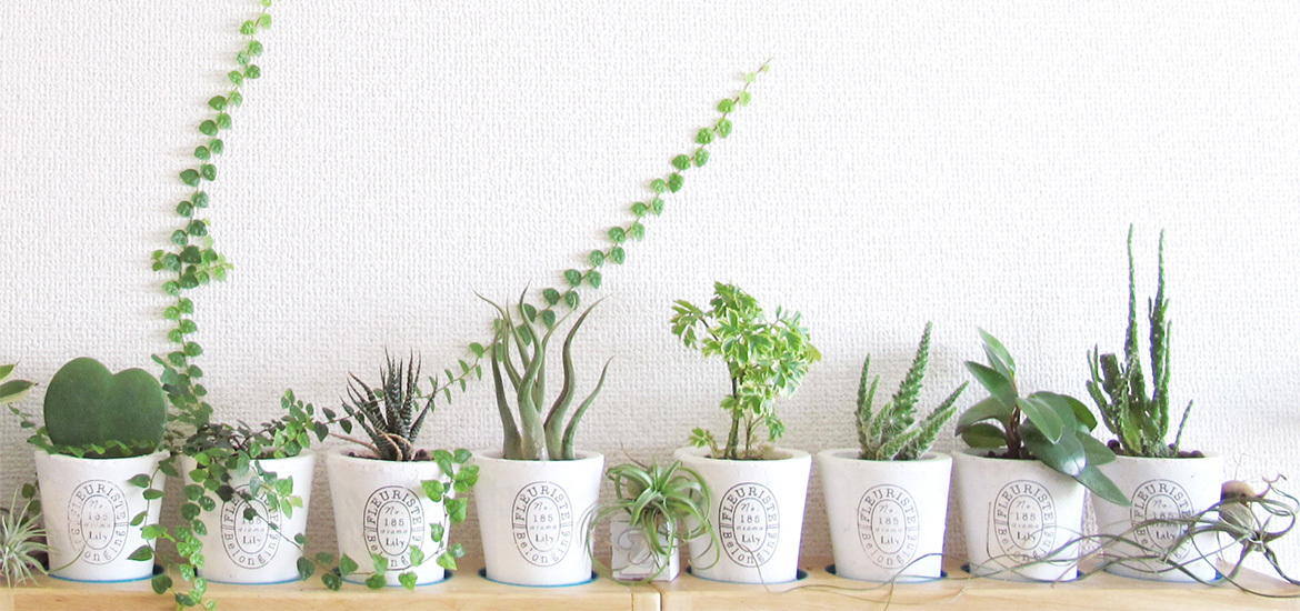 静岡市葵区上足洗、千代田一丁目停留所、内科・消化器内科